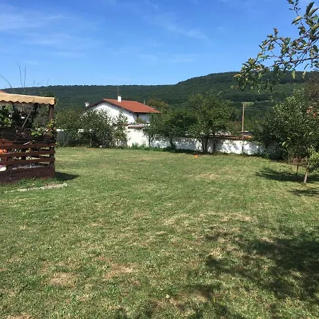 Inviting 4-bed In Dolishte Villa *